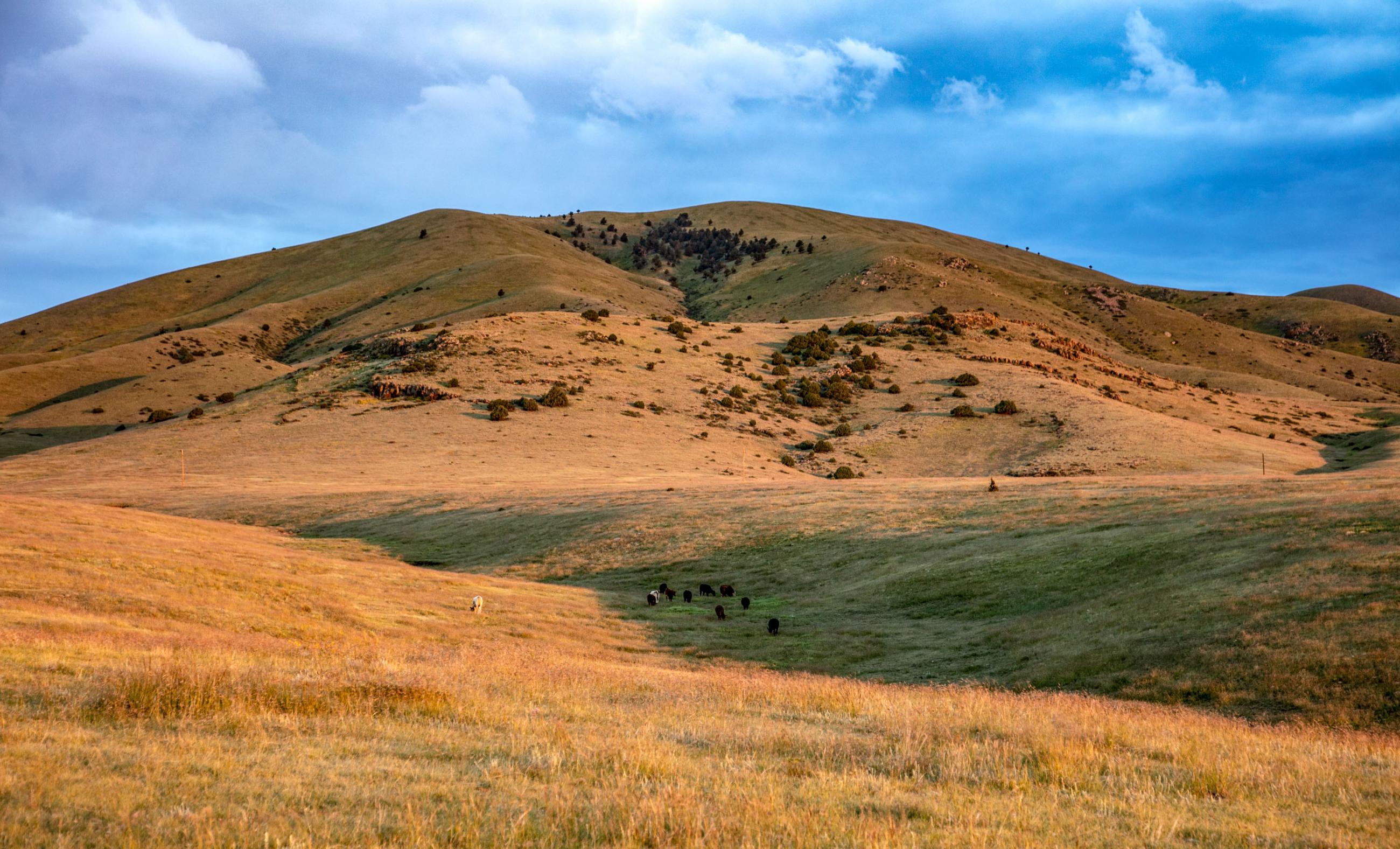 Laughlin Peak Ranch Chas S. Middleton
